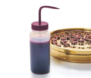 be6fbbb9 7eac 44e2 80af 0f9ec8bfa471 300x259